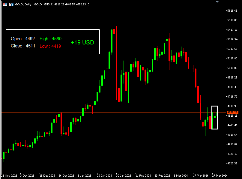 เทคนิค (3)