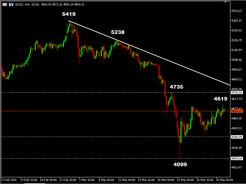 เทคนิค (2)